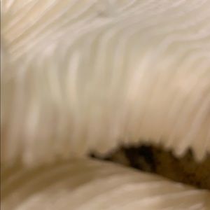 Meet your Posher, Kyleigh